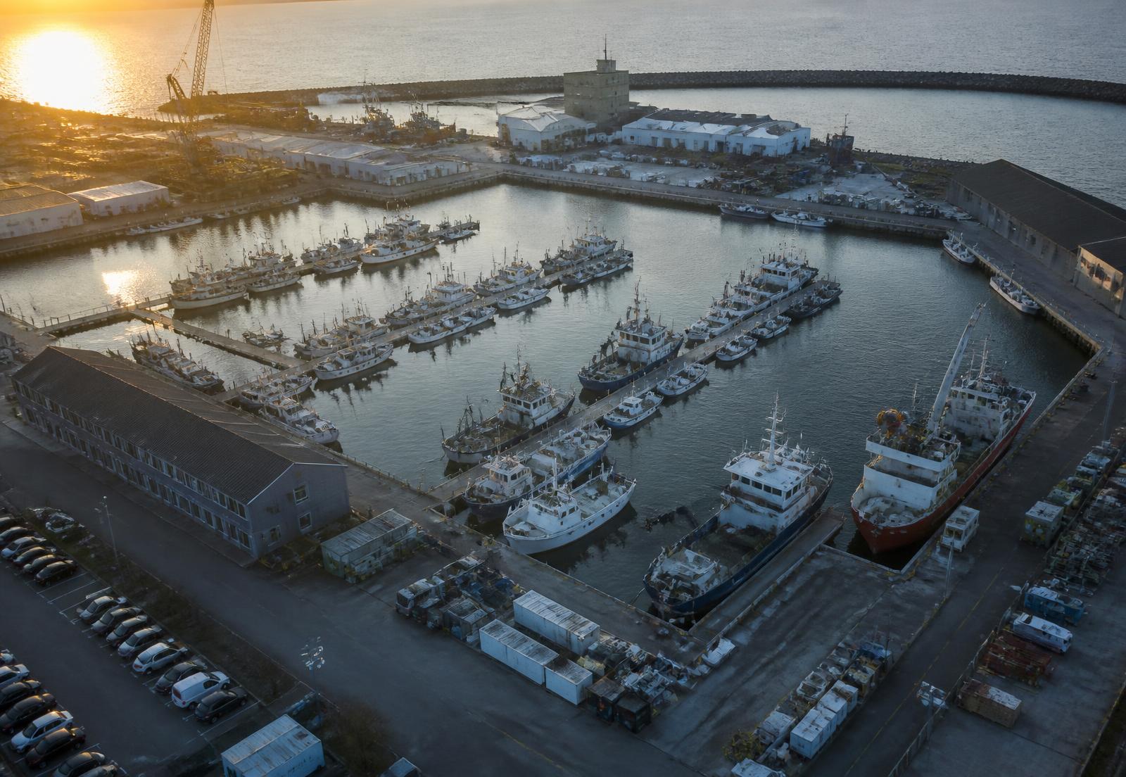 Ports Risk Management by Freedom Insurances